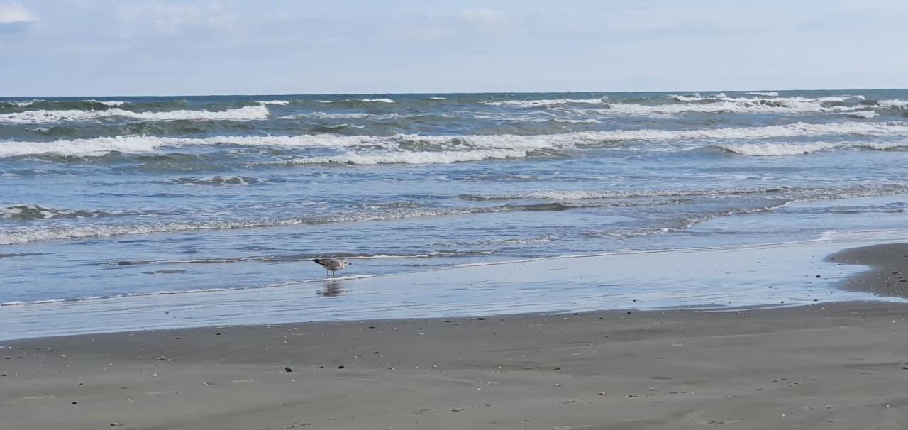 Isabelle Apartament Alezzi Beach Resort Mamaia Nord ナボダリ エクステリア 写真